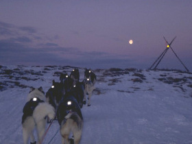 Husky safari in Sami land, Norway